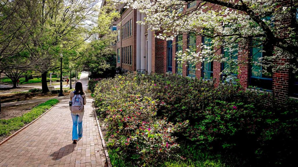 A student walks past Page Hall through the Court of North Carolina on a spring day.
